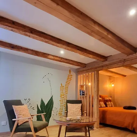 A Desire For Bohemia, Well-being And Massages! Apartment *