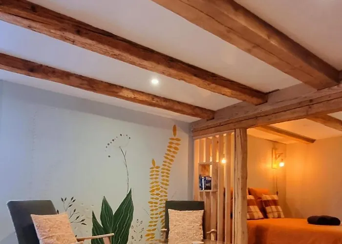 Un Envie De Bohême, Bien-être Et Hammam ! Appartement *